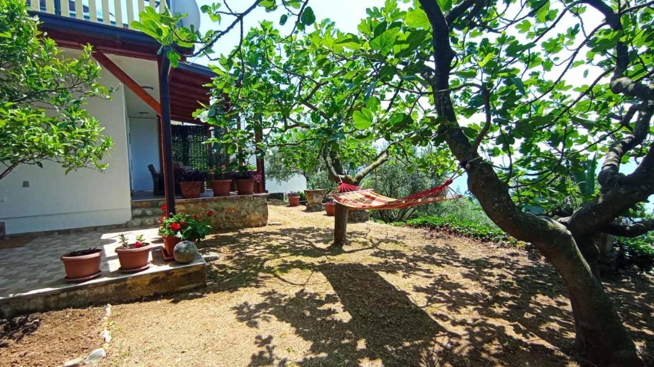 Apartment Ulcinj Exterior foto